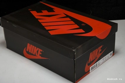 Cut Travis Scott x Check Jordan The 1031